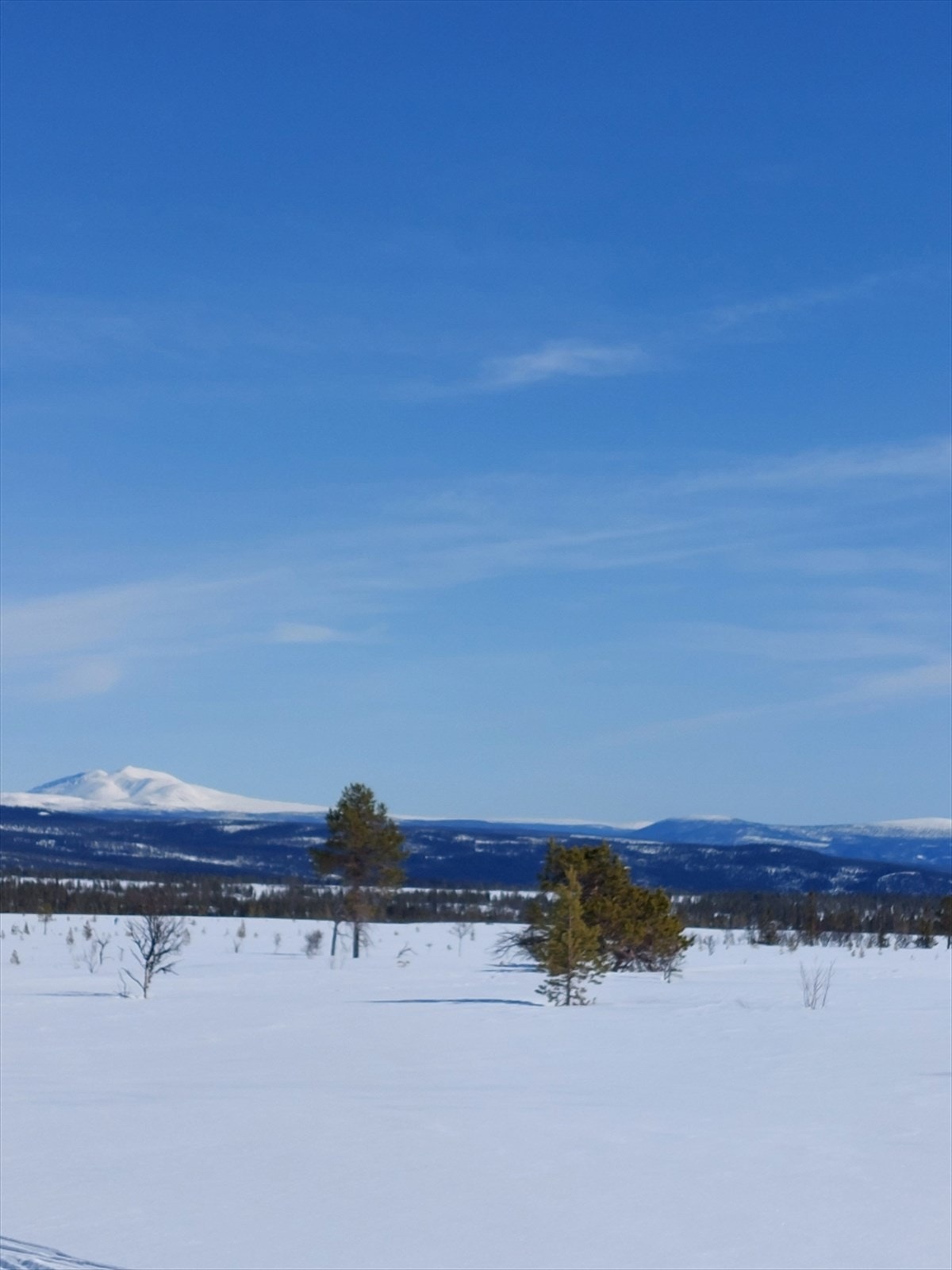 Vinteridyll (privat foto) Galleribilde