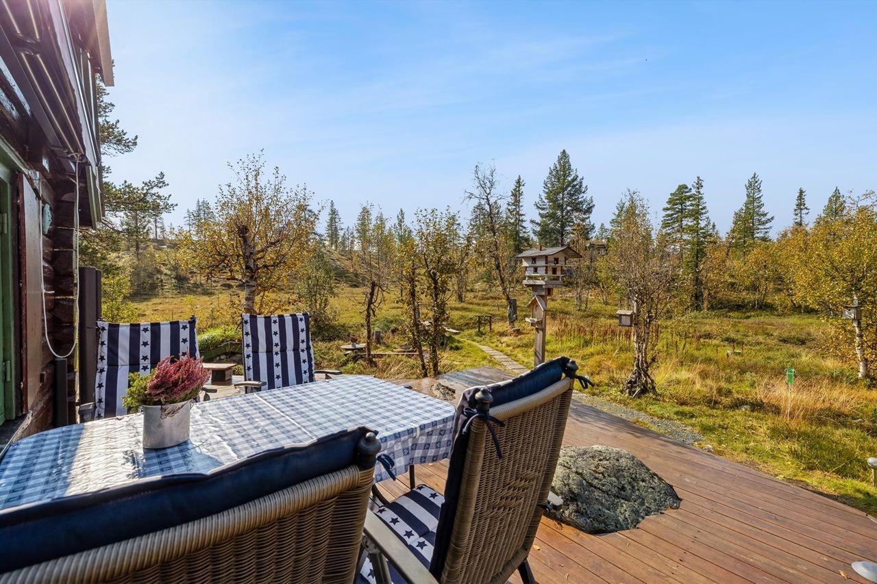 Terrassen på hovedhytta Galleribilde