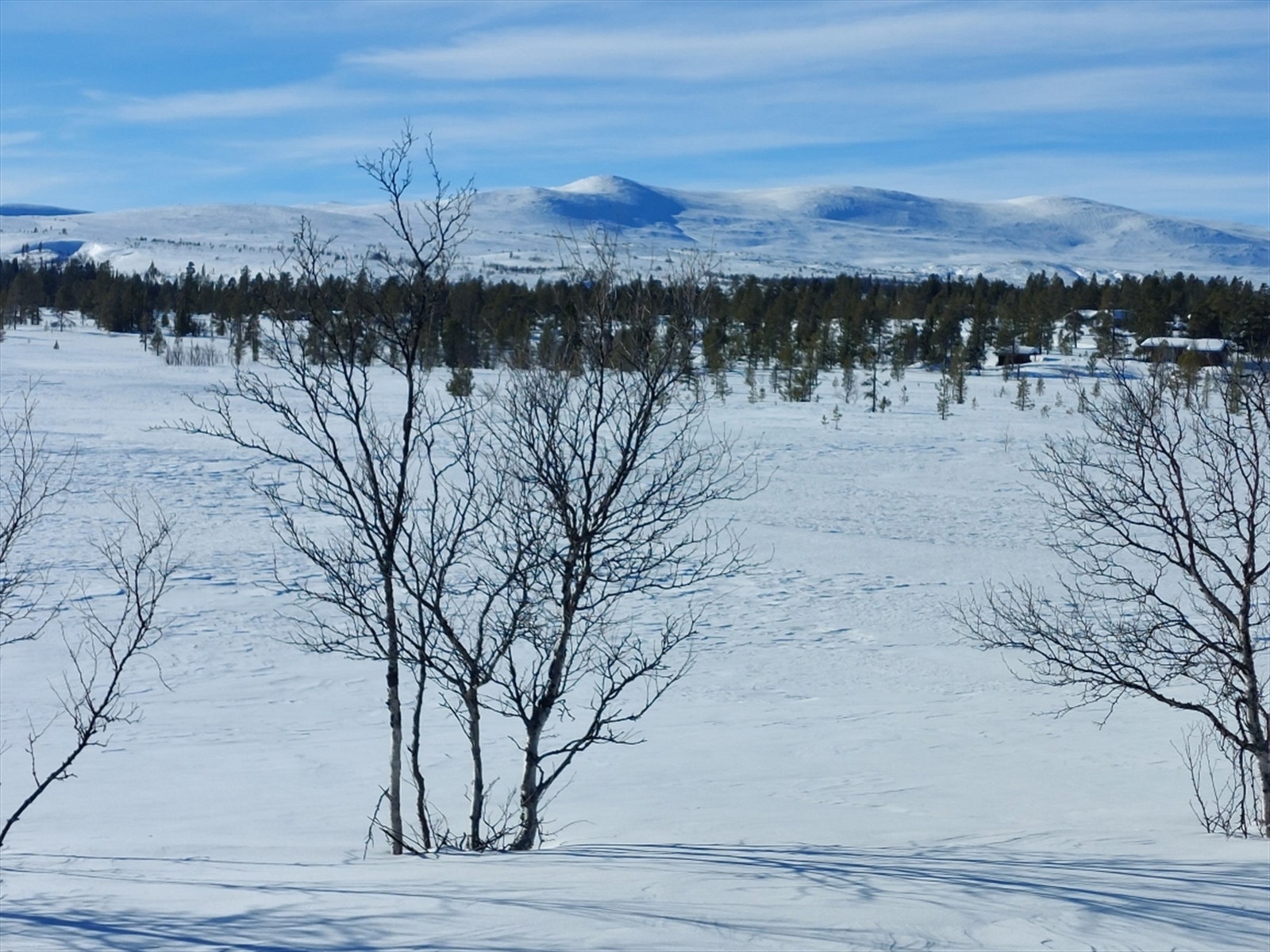 Famphøgden (Privat foto) Galleribilde