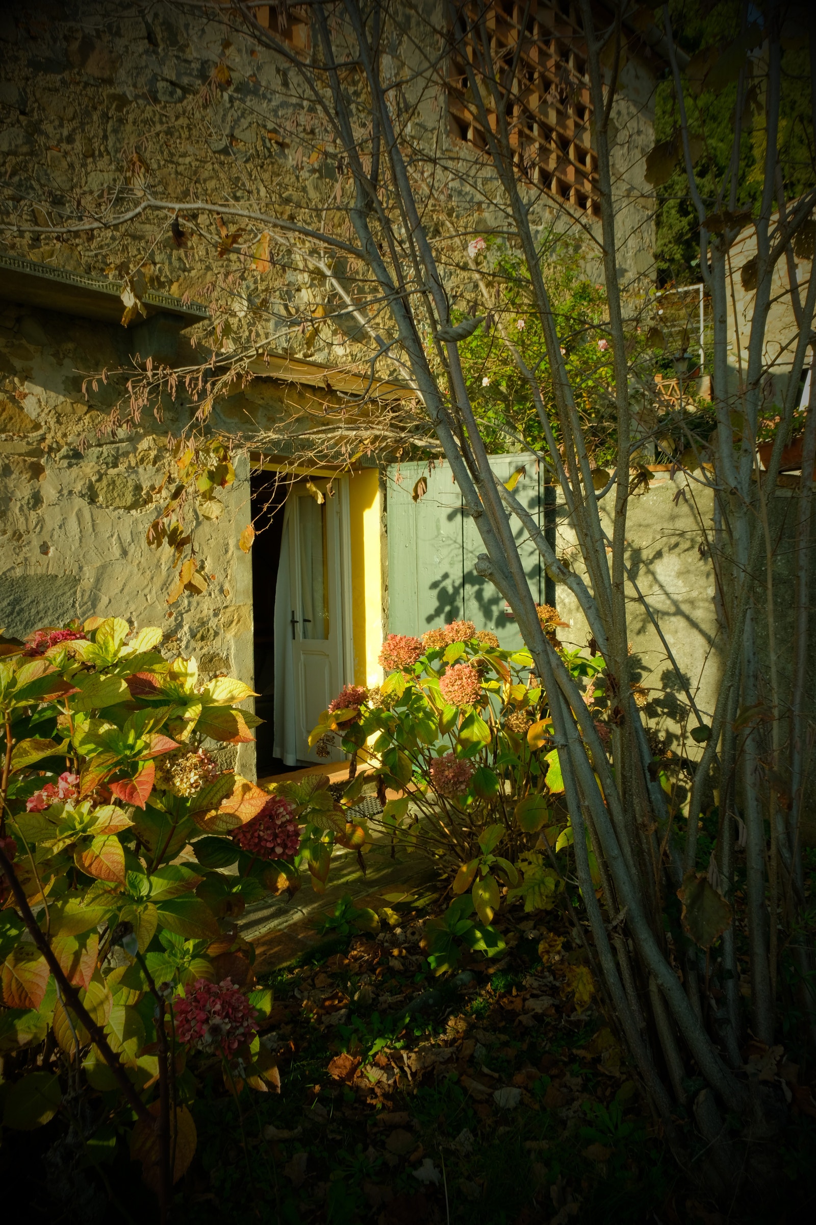 Gjestebolig Galleribilde