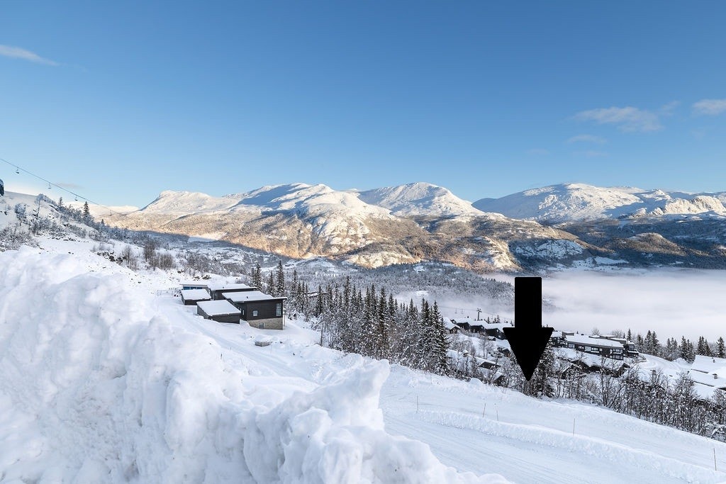 Beliggenhet for Skarsnuten 905 Lodge 1A Galleribilde