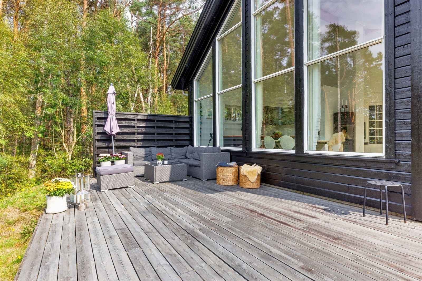 Her er man tett på naturen med skogen som nærmeste nabo. Galleribilde