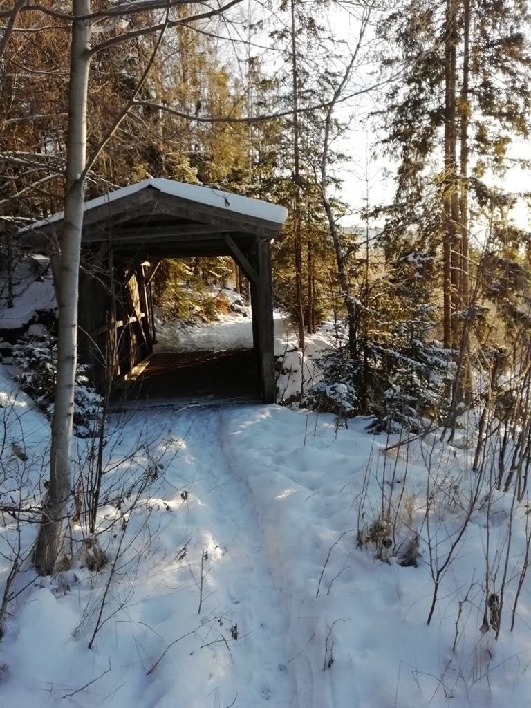 Mange turveier og skogsstier rett bak boligen.
Fiske i Gudbrandsdalslågen. Tursti langs lågen. Galleribilde