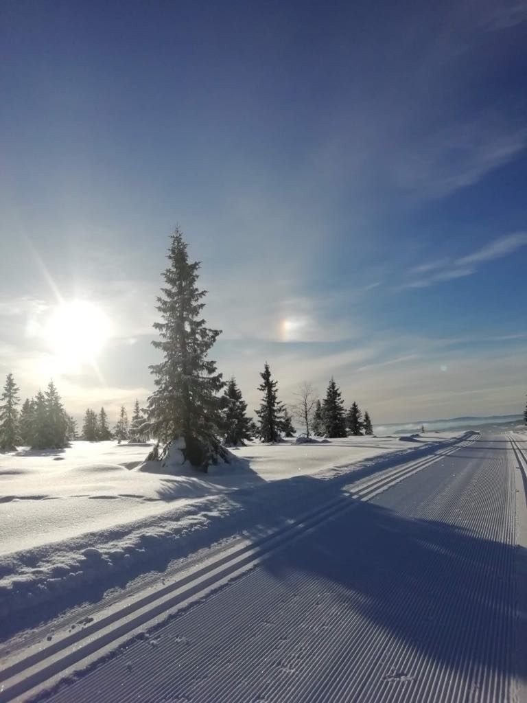 10 minutters kjøring til skiløypene i Øyerfjellet.
300 km med daglige oppkjørte løyper hele vinteren. Galleribilde