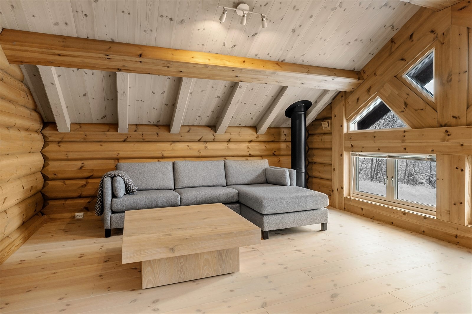 Stuen er perfekt som "ungdomsavdeling". Galleribilde