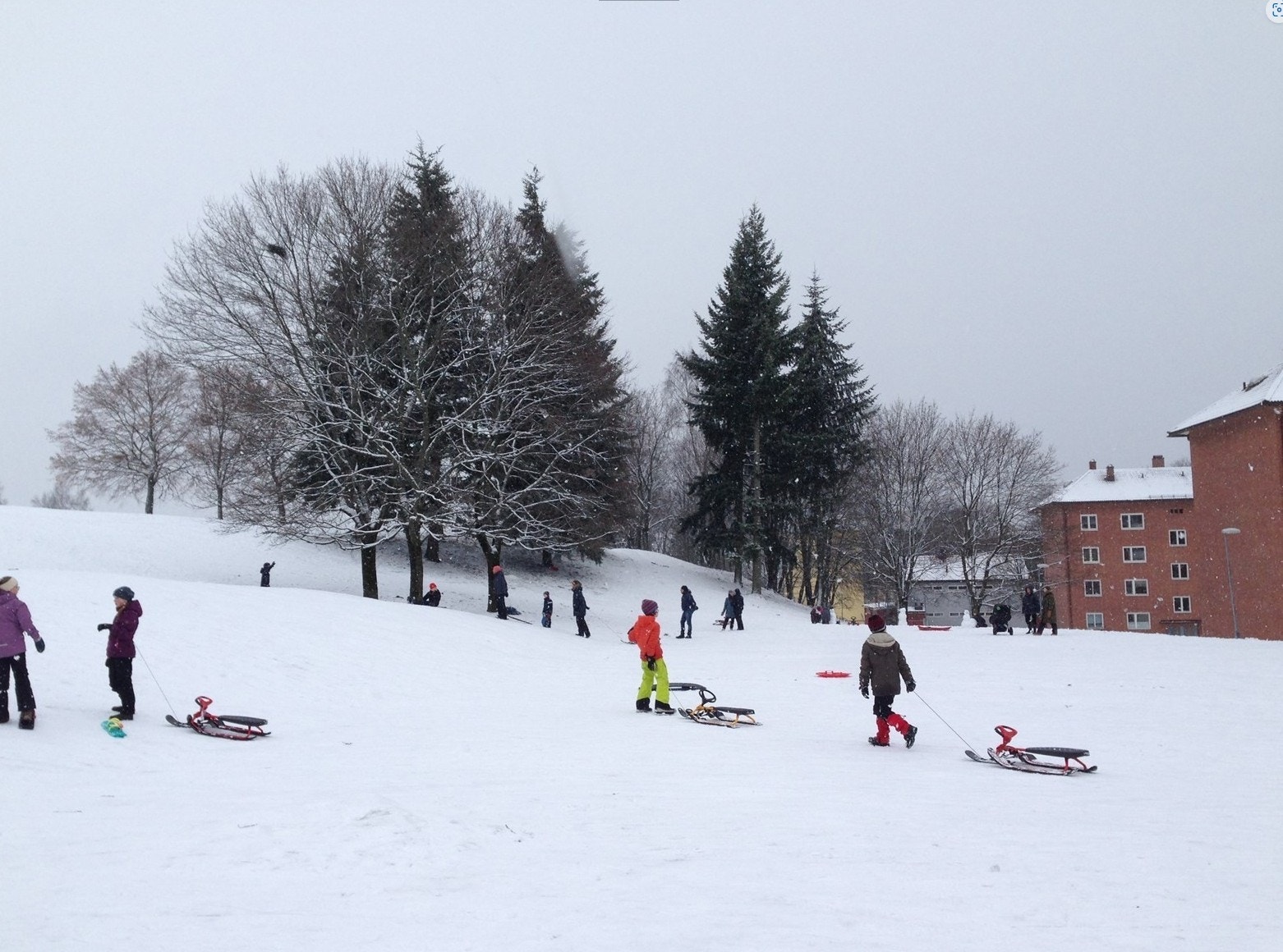 Torshovs grøntarealer - og da spesielt Torshovdalen og Muselunden innbyr til aktiviteter for både store og små - både sommer- og vintertid Galleribilde