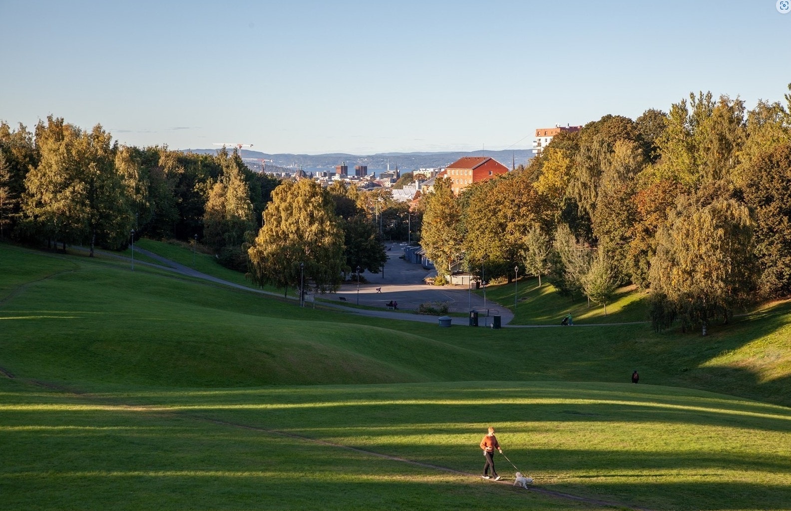 Torshovs grøntarealer, og da spesielt Torshovdalen og Muselunden, innbyr til aktiviteter for både store og små - både sommer- og vintertid Galleribilde