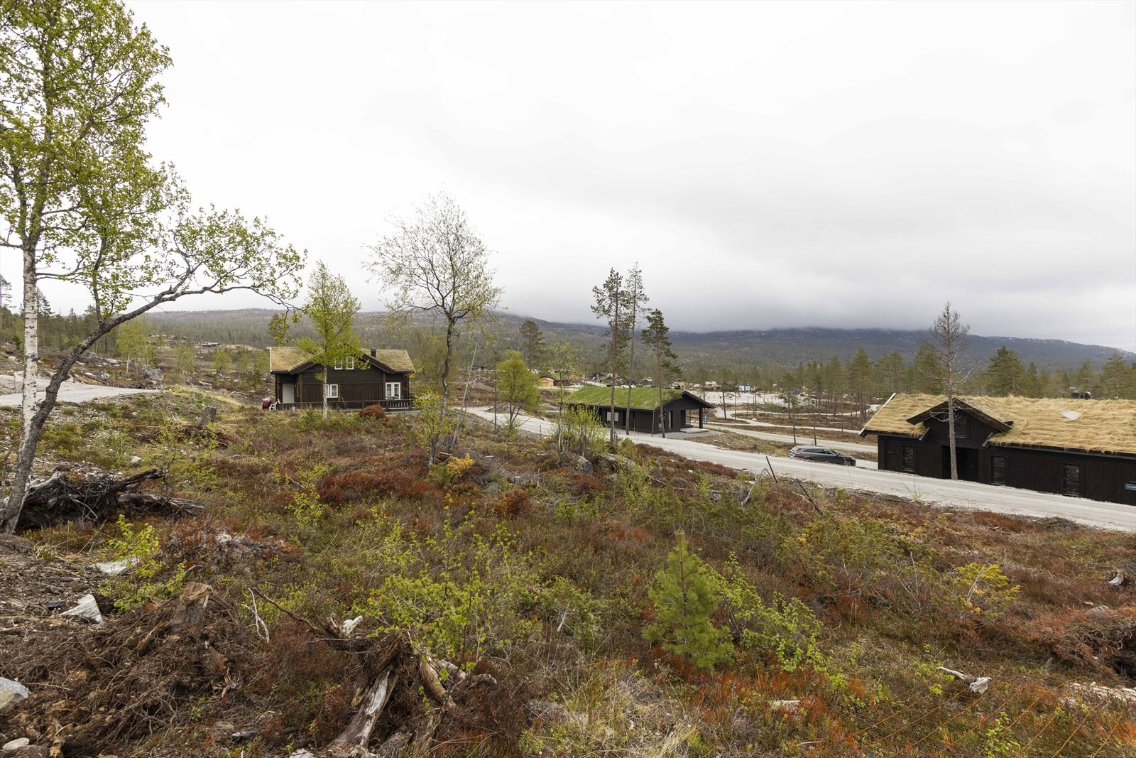 Byggeklar hyttetomt beliggende ski inn/ut Galleribilde