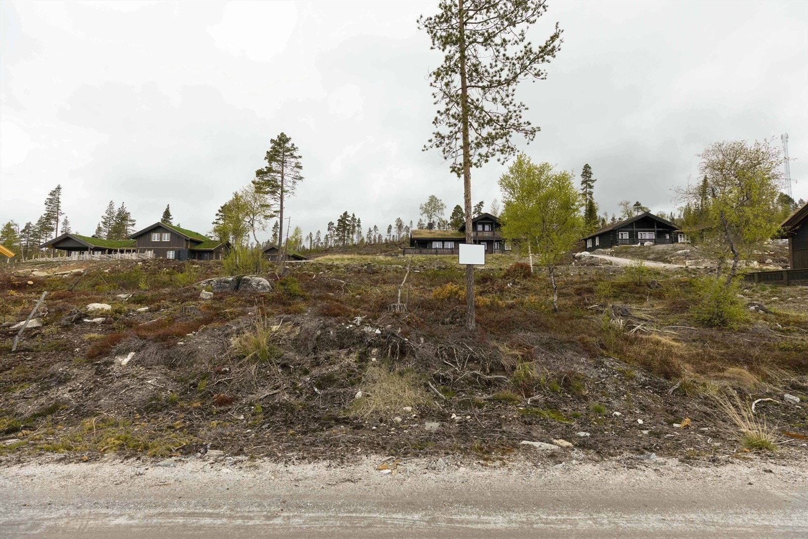 Turuhaugen18 Galleribilde