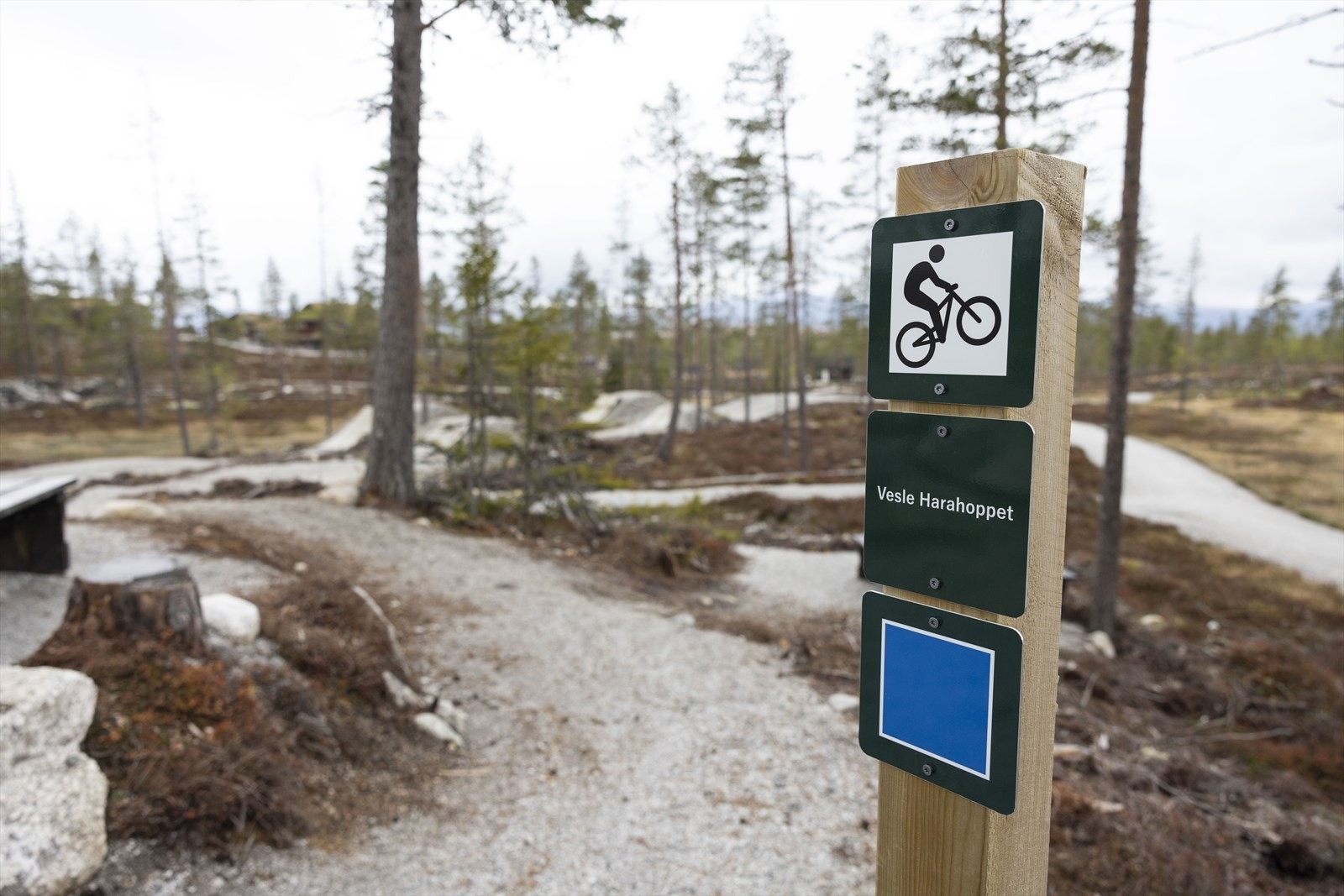 Sykkelparken Galleribilde