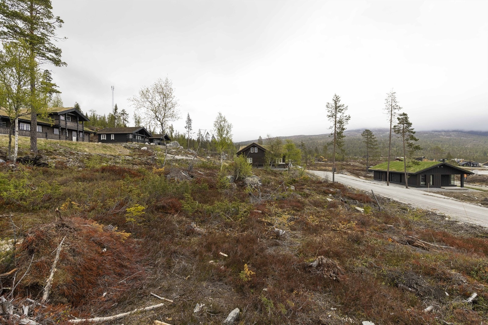 Turuhaugen18 Galleribilde