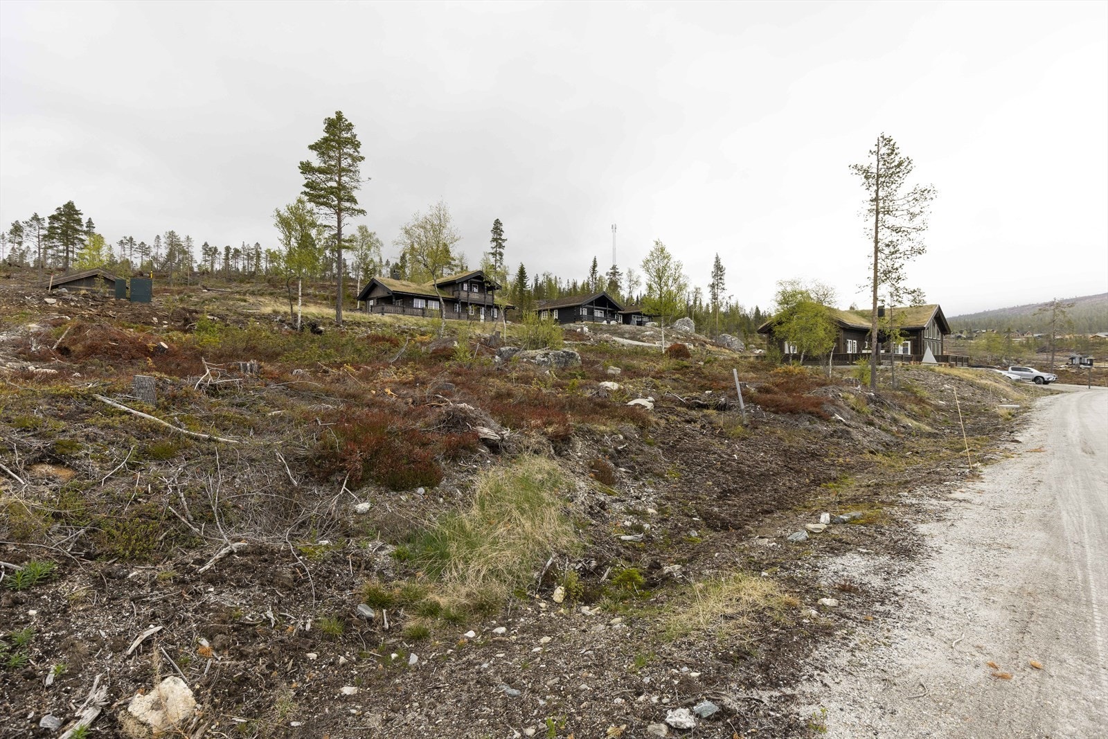 Turuhaugen18 Galleribilde