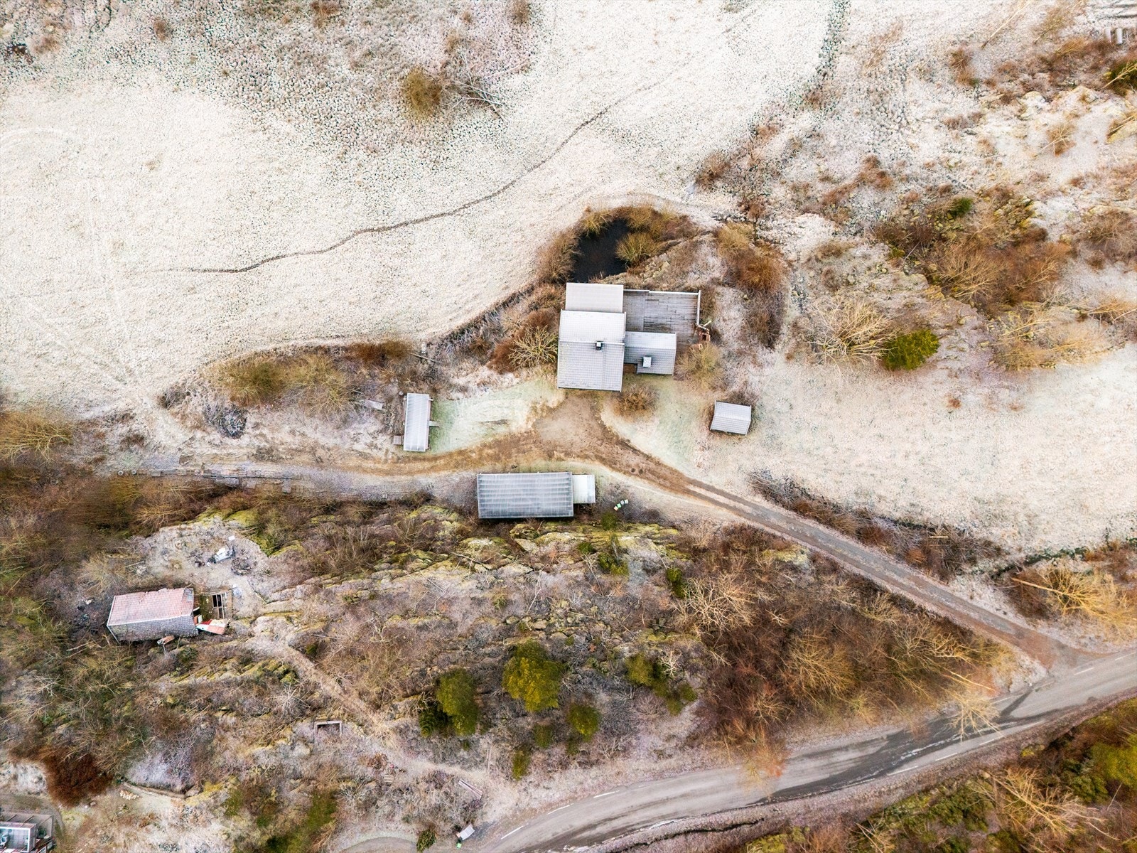 Skogsrød Galleribilde