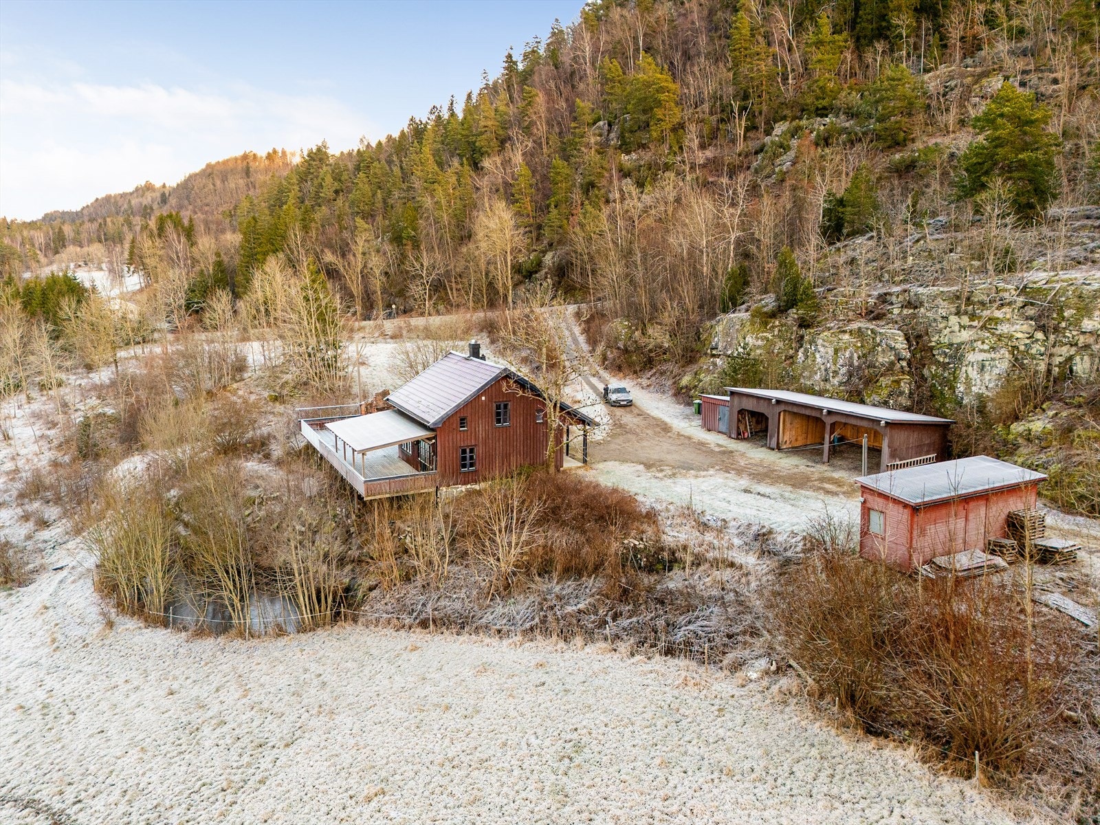 Skogsrød Galleribilde