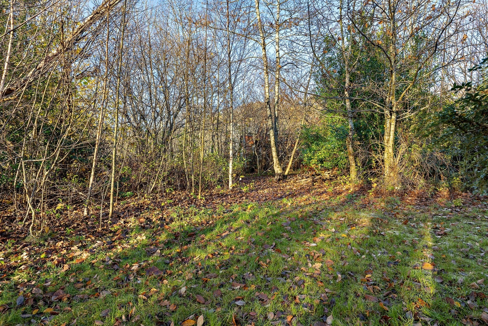 Uteområde Galleribilde