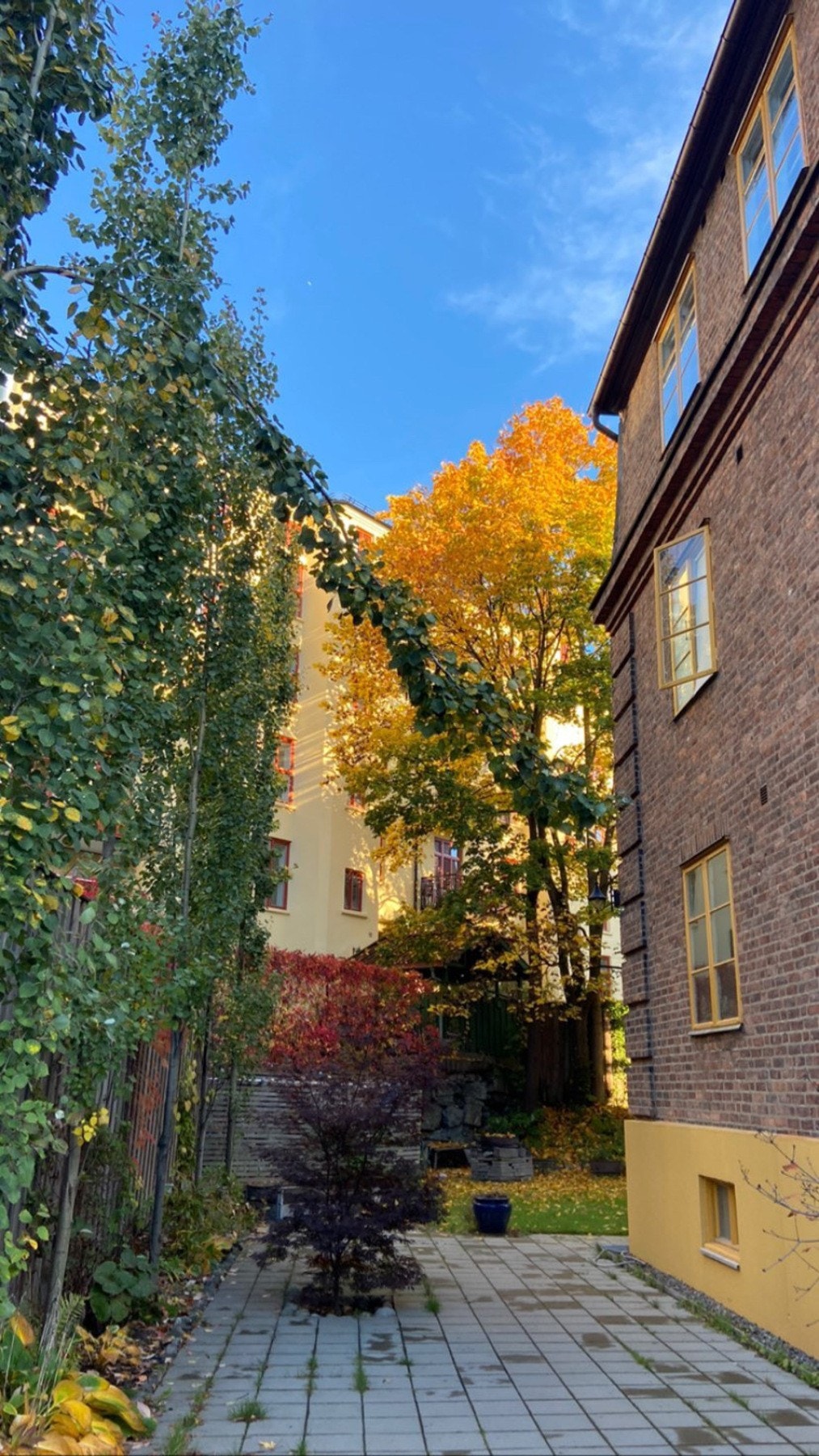 Selgers egne bilder av den nydelige hagen. Galleribilde