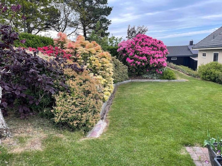 Mye flott beplatning Galleribilde