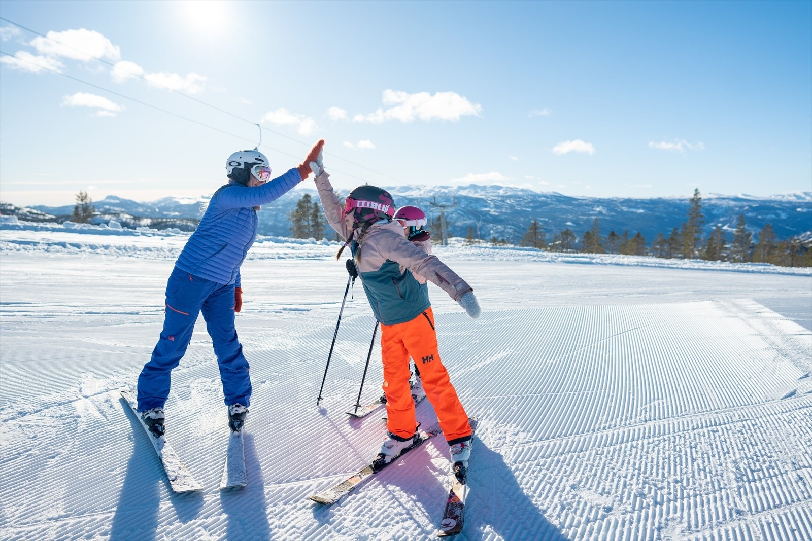 Turufjell Alpin Galleribilde