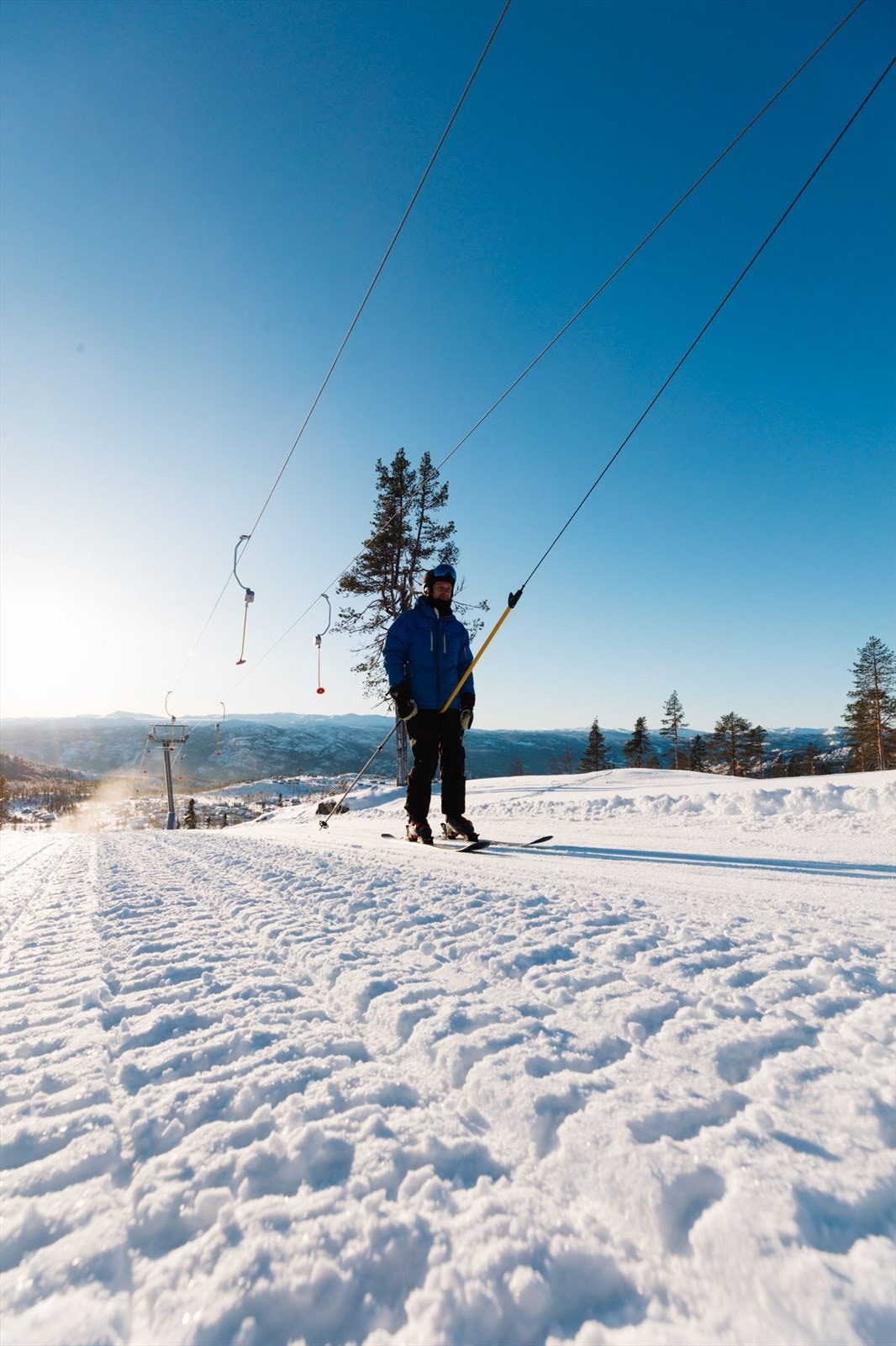 Alpin Turufjell Galleribilde