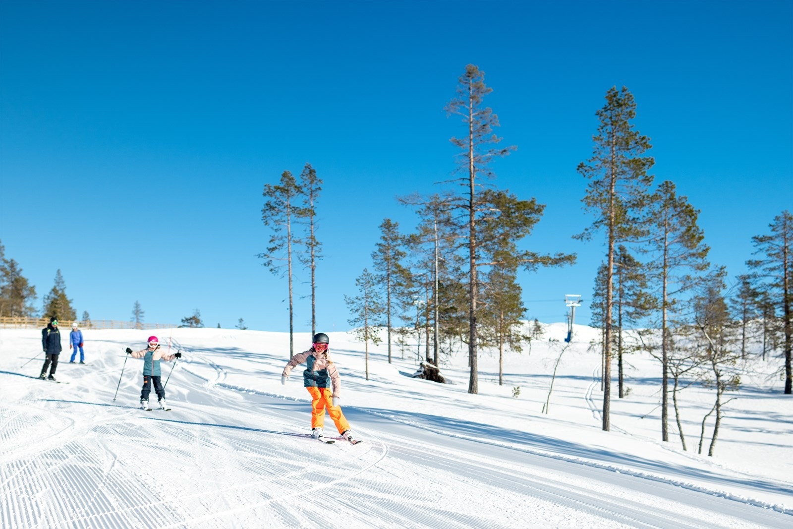 Turufjell Alpin Galleribilde