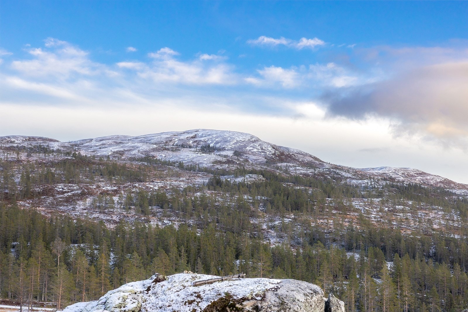 Nedre Høgsetervegen 27 Galleribilde