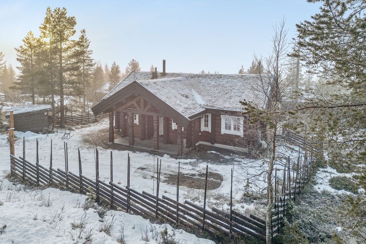 En laftehytte fra 2014, tradisjonelt utformet med torvtak og flotte detaljer. Galleribilde