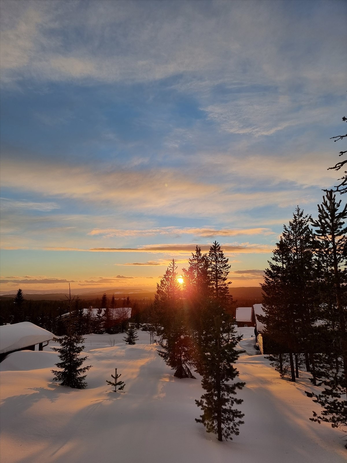 20230220_170350.jpg Galleribilde