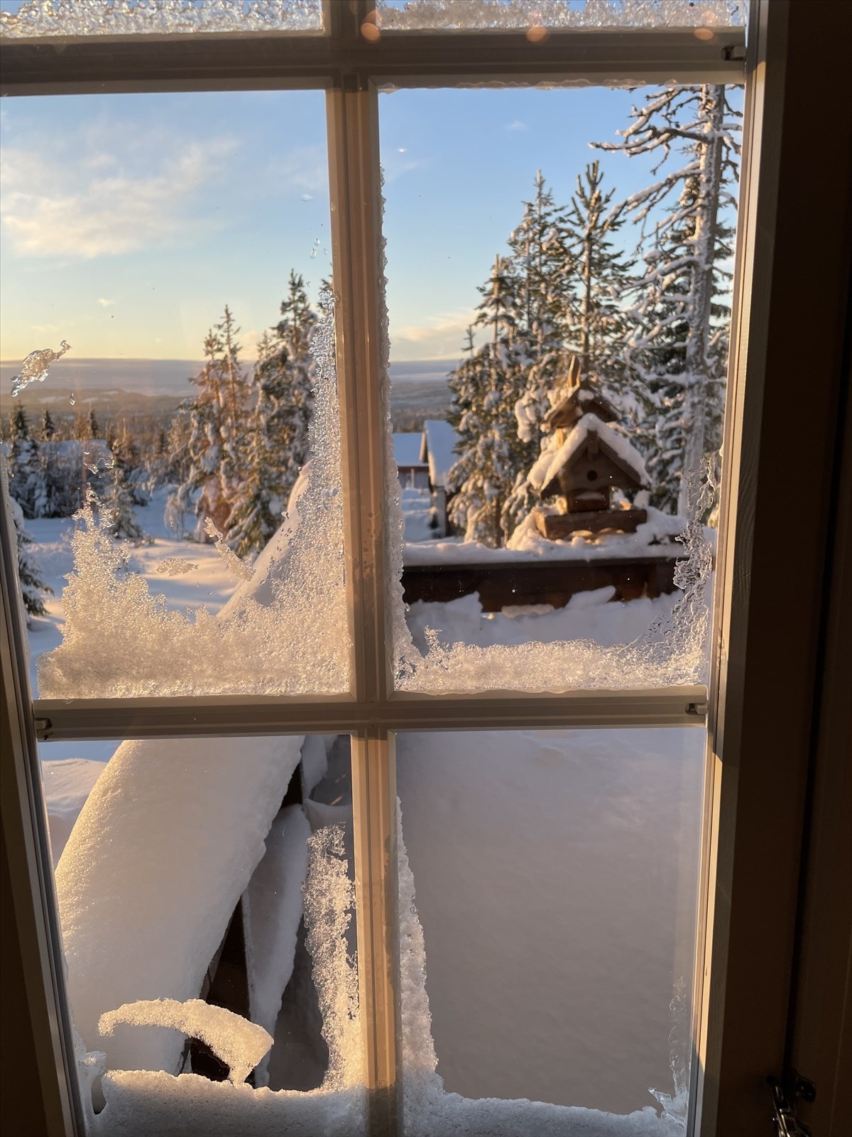 Stemningsbilder - bilder tatt av selger Galleribilde