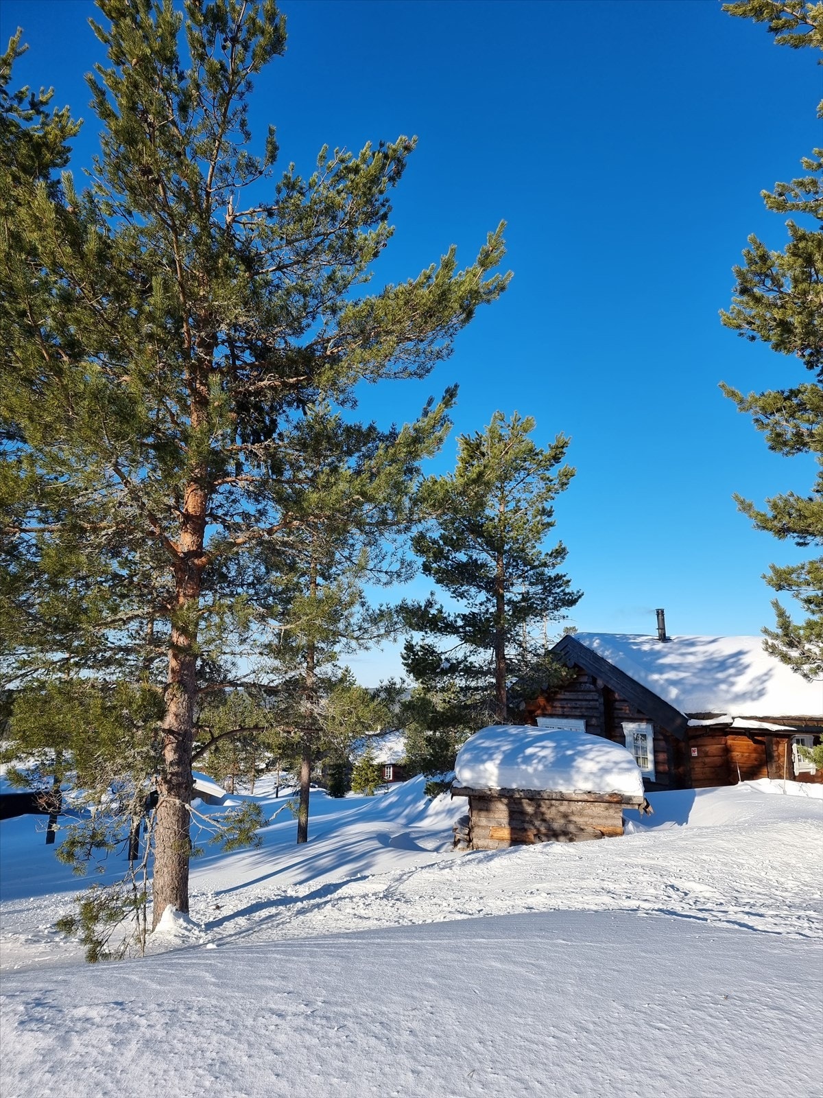 Stemningsbilder - bilder tatt av selger Galleribilde