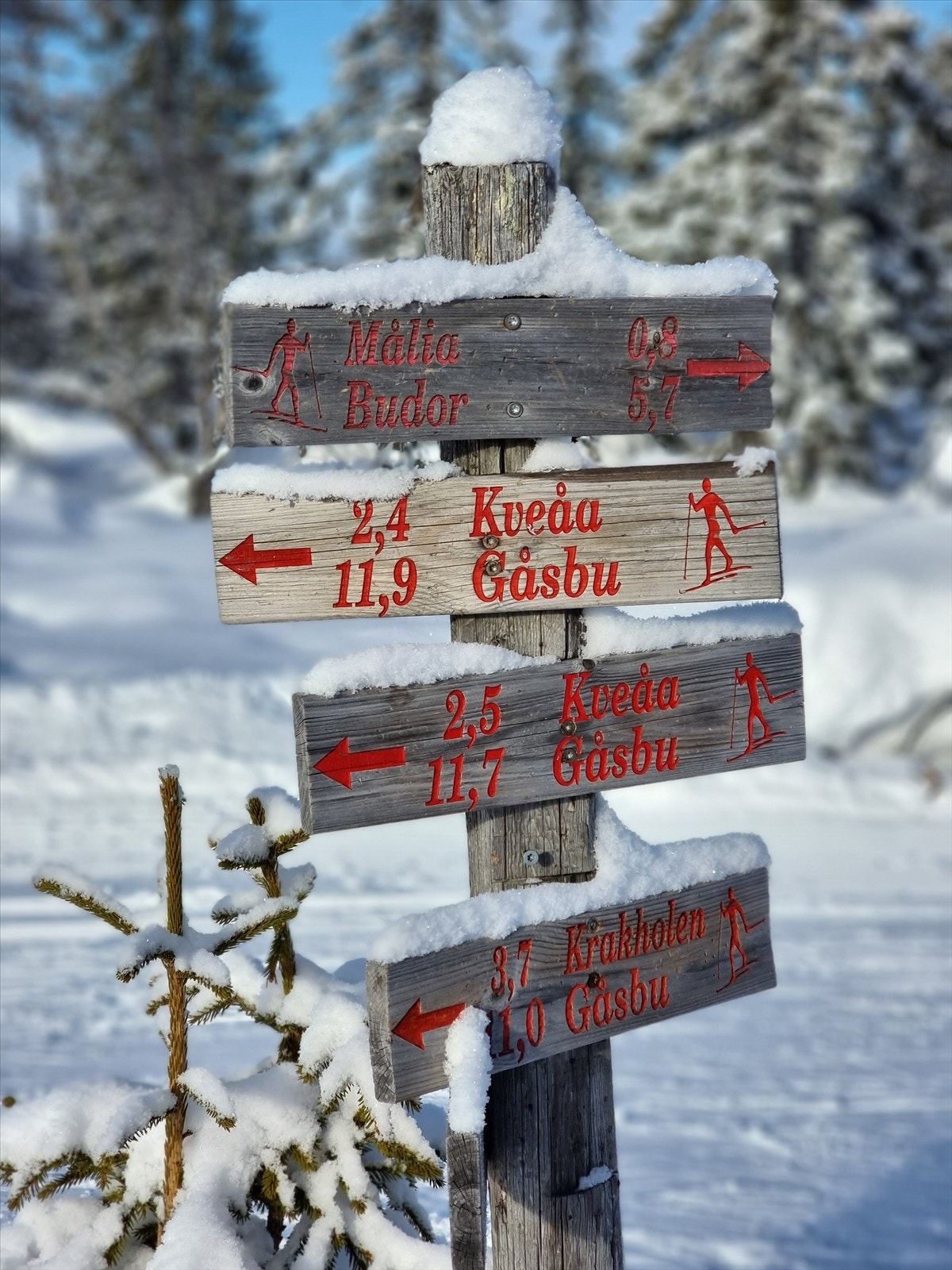 Løypenettet er på 350 km, inkludert 12 km lysløyper, med Gåsbu som et sentralt utgangspunkt. Galleribilde