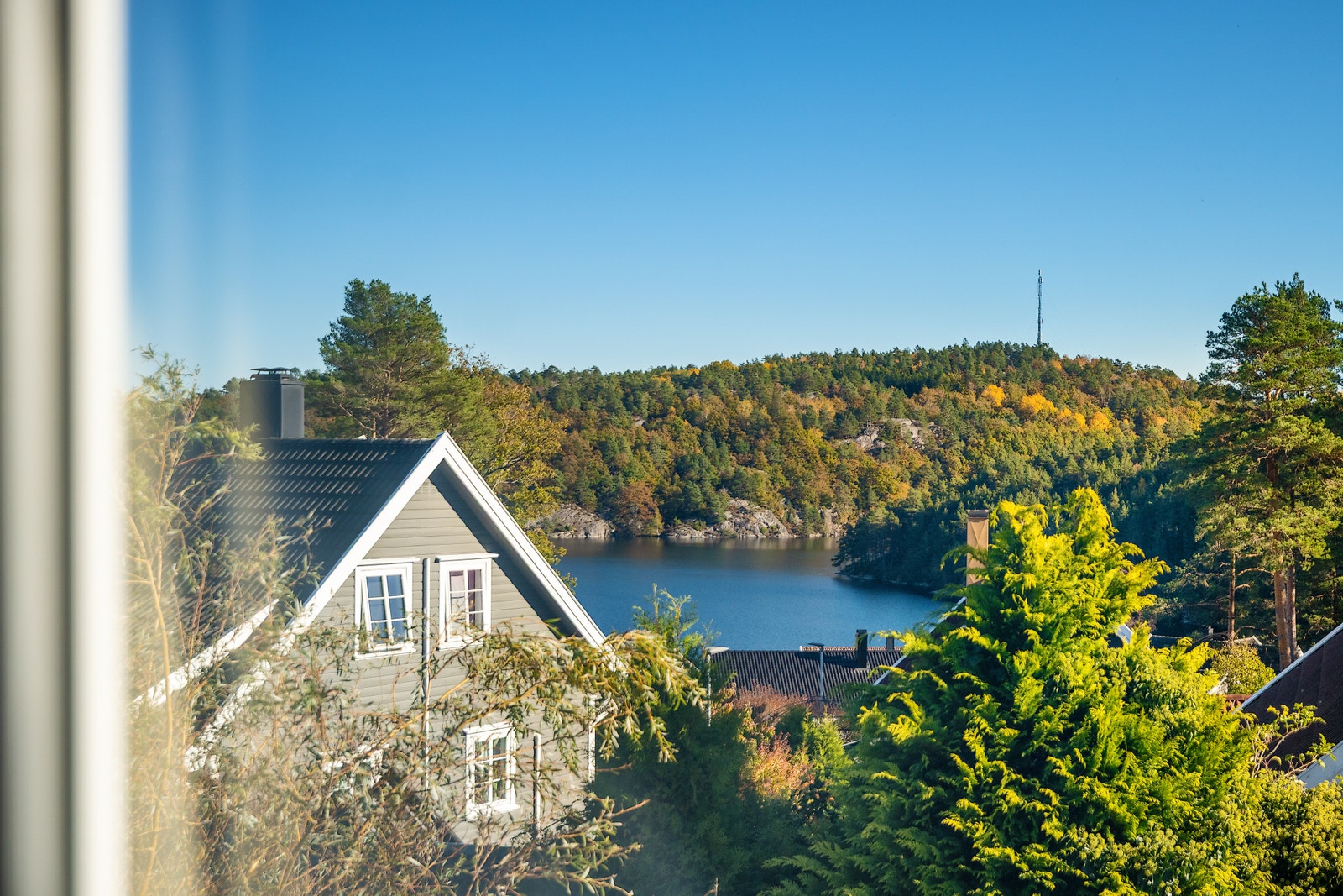 Utsikt mot skog og vann fra eiendommen. Galleribilde