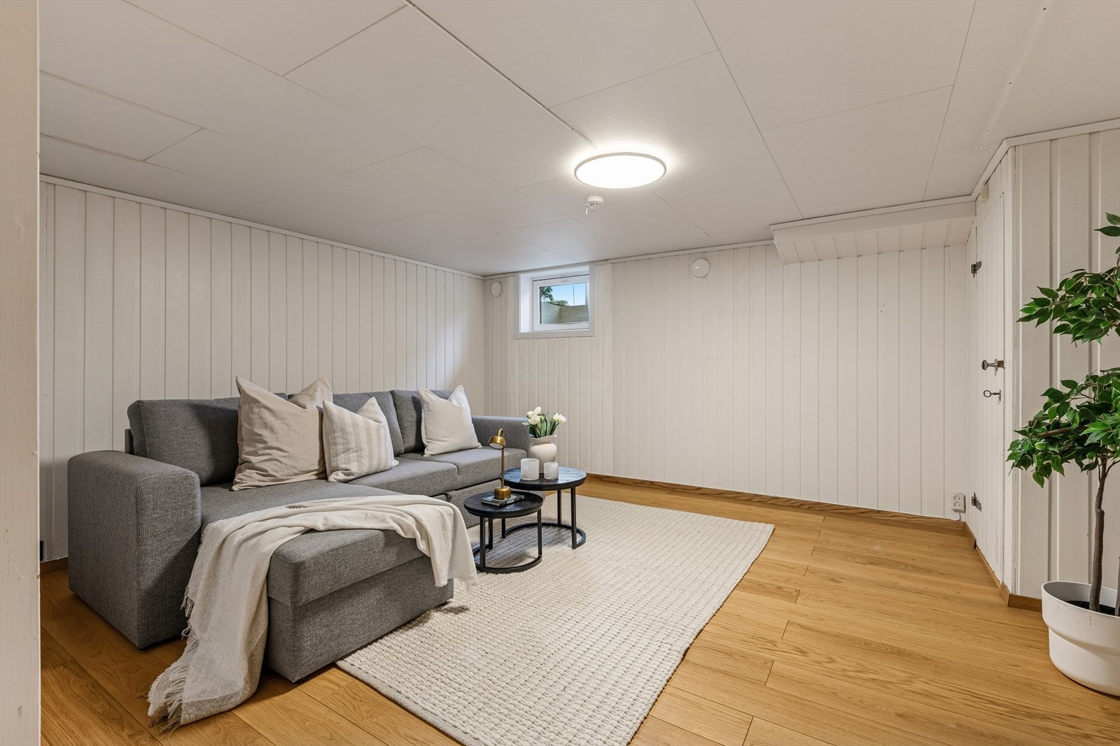 Lun og innbydende kjellerstue, perfekt for avslapning og hygge. Galleribilde