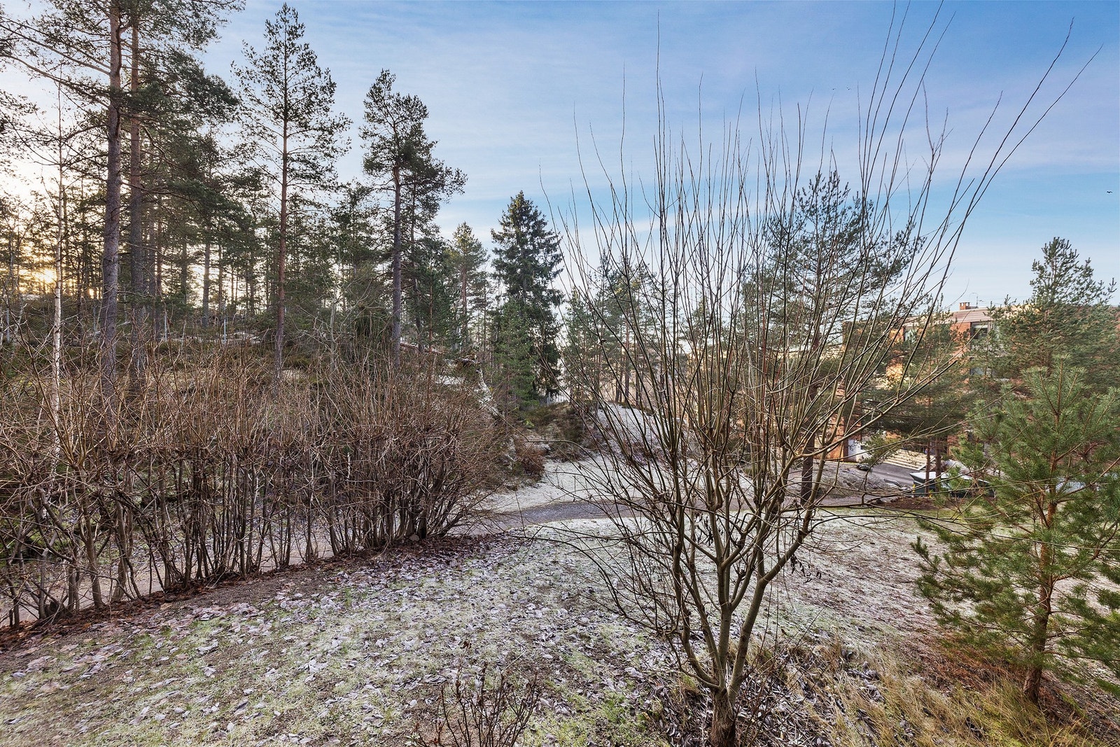 Utsyn fra balkongen Galleribilde