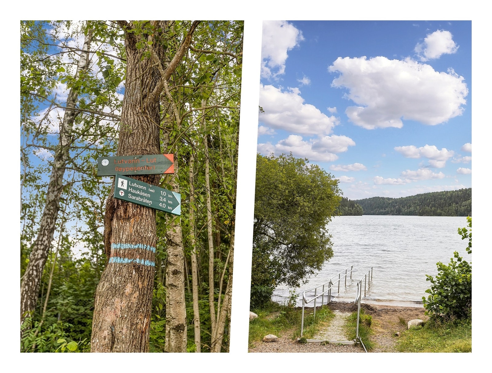 Fra leiligheten er det rett rundt 1 km til Lutvann og ellers nok av løyper i skogen for den turglade Galleribilde