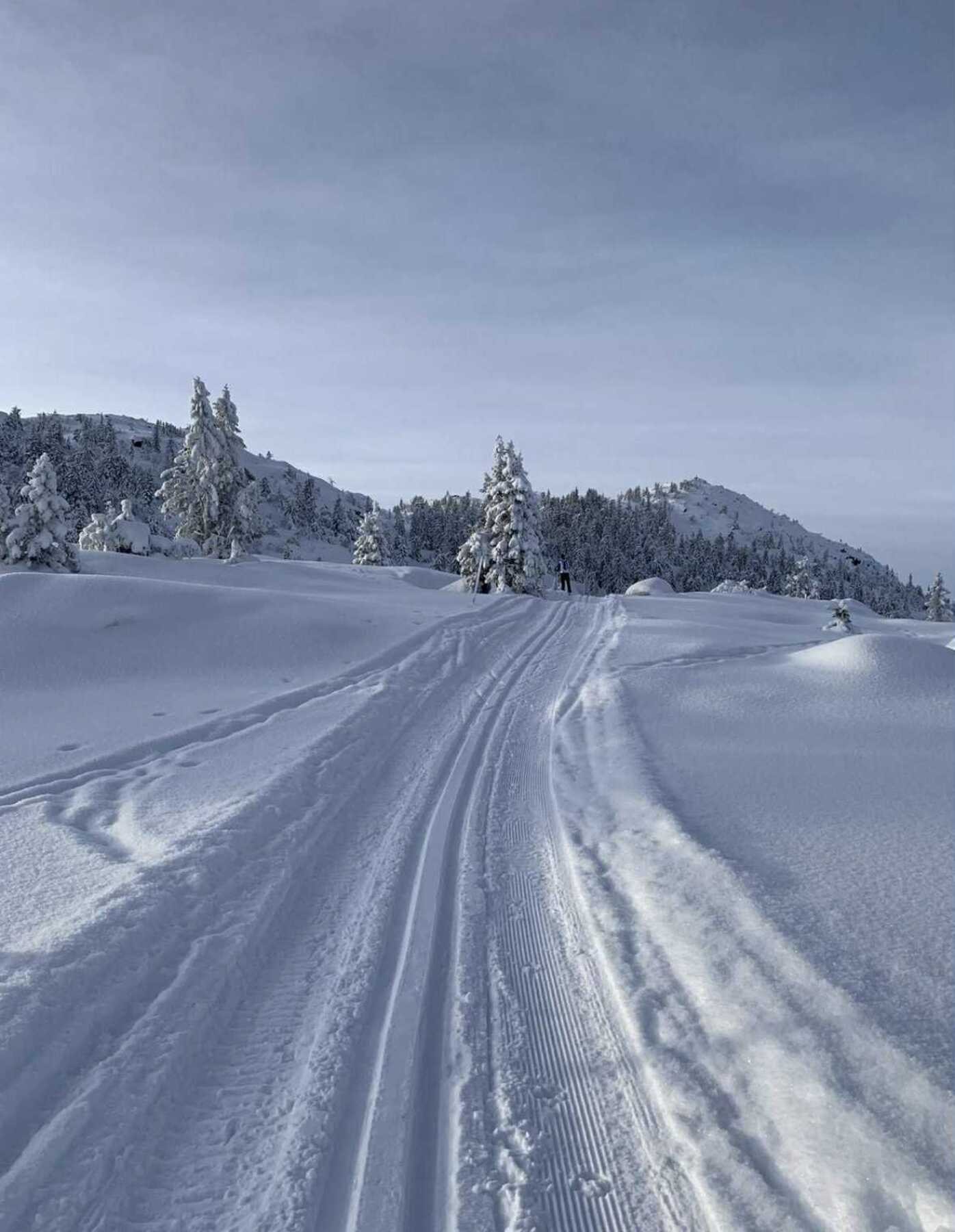 Selgers bilde. Galleribilde