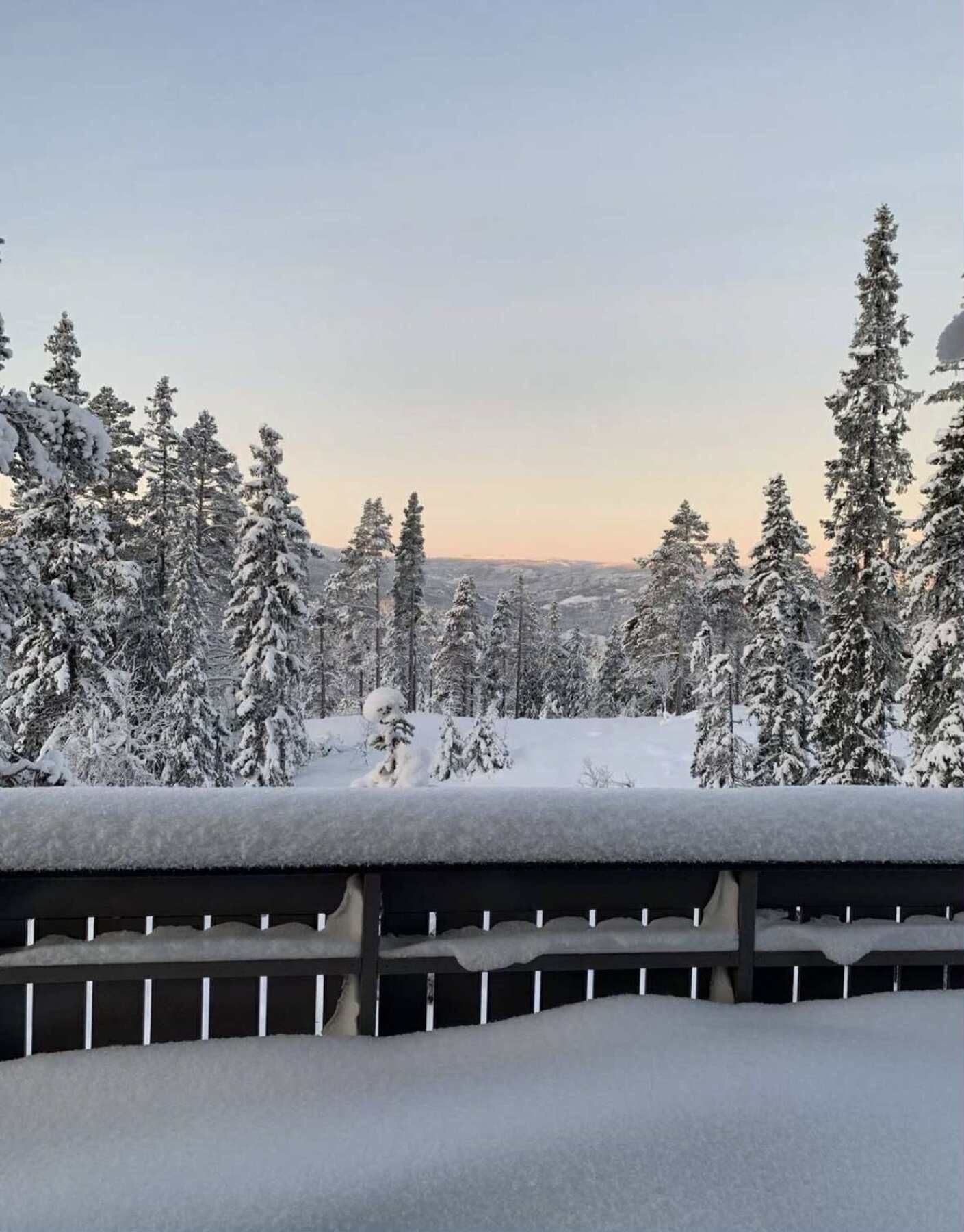 Selgers bilde, flott utsikt fra terrassen. Galleribilde