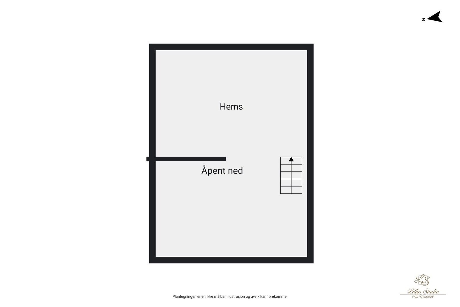 Planskisse hems. Galleribilde