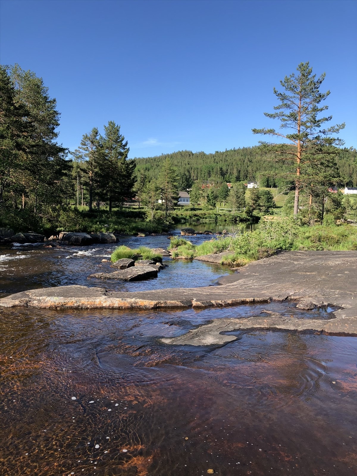 Selgers private bilde fra nærområdet! Galleribilde