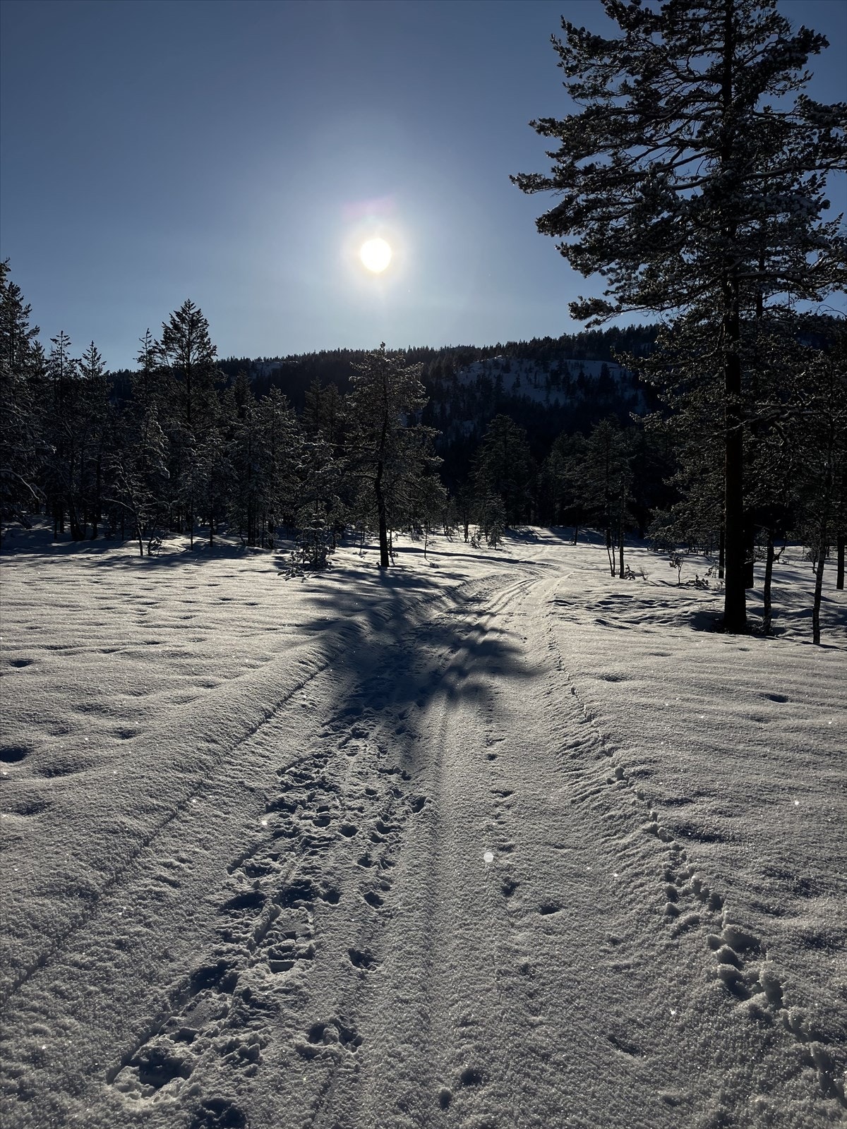 Selgers private bilde fra nærområdet! Galleribilde