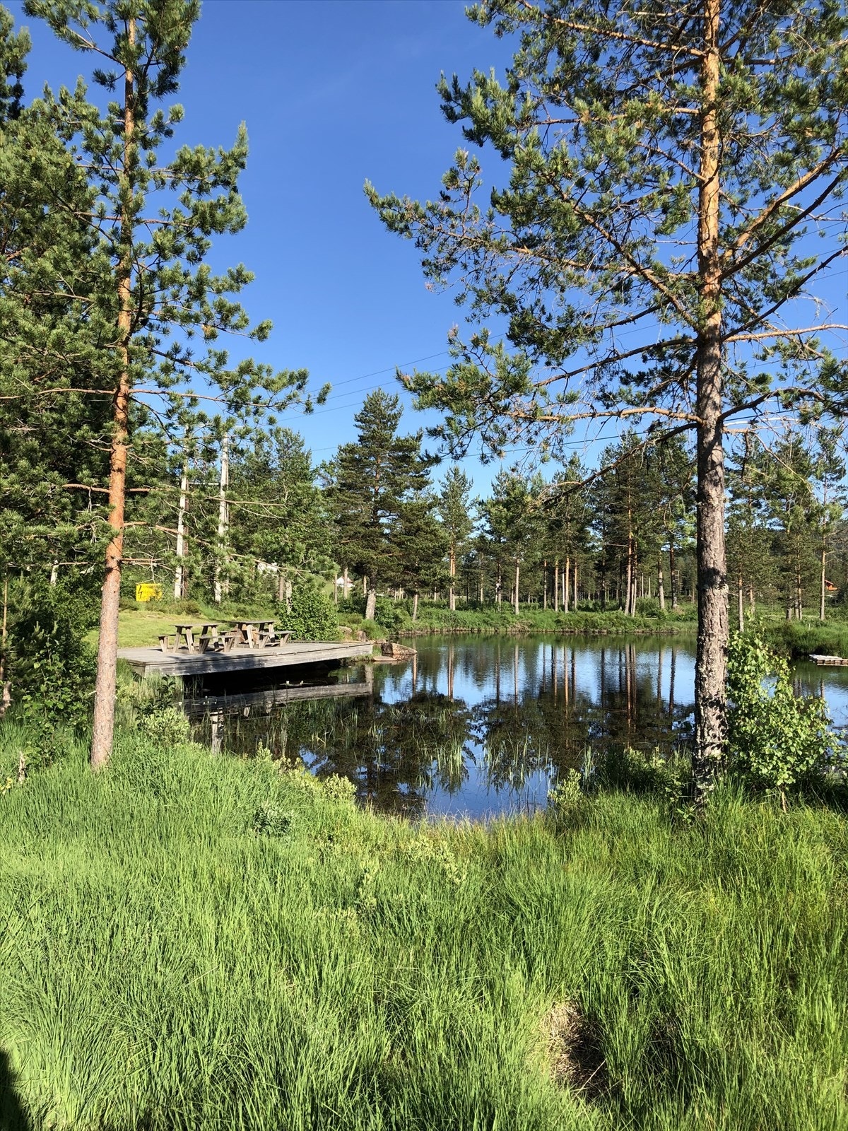 Selgers private bilde fra nærområdet! Galleribilde