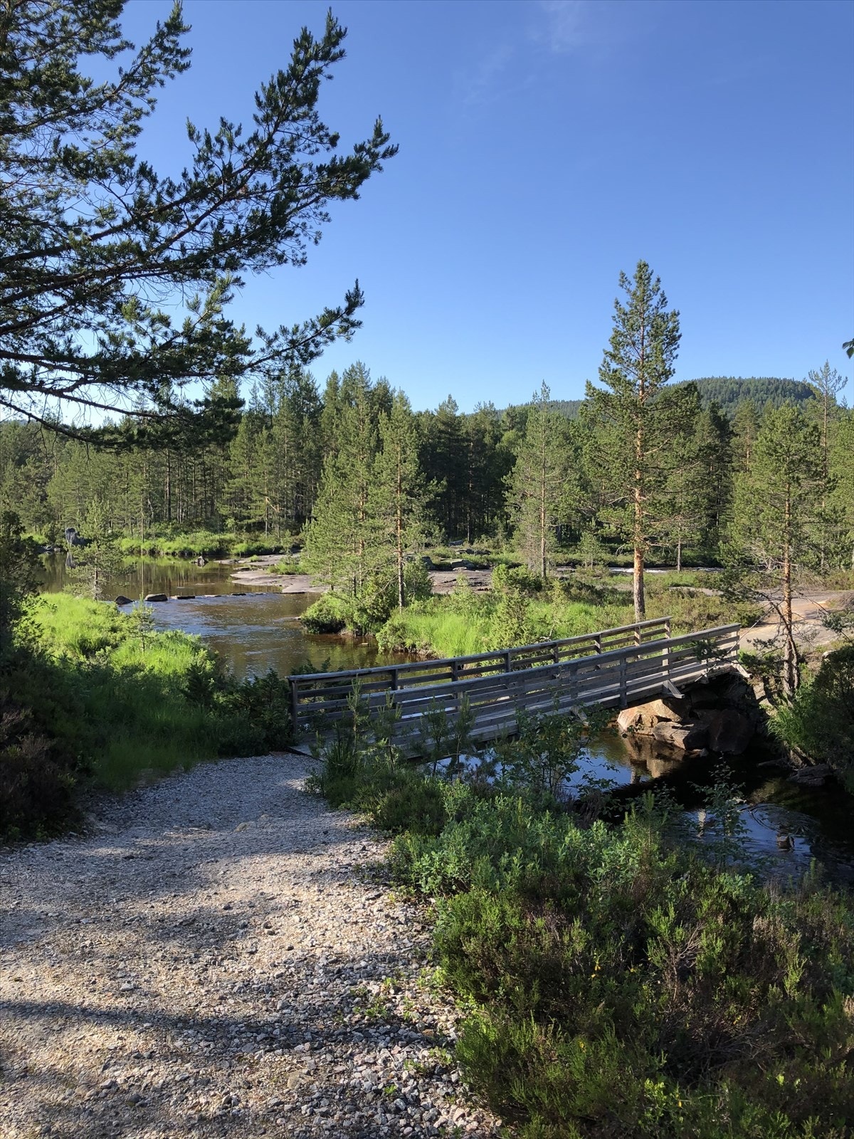 Selgers private bilde fra nærområdet! Galleribilde