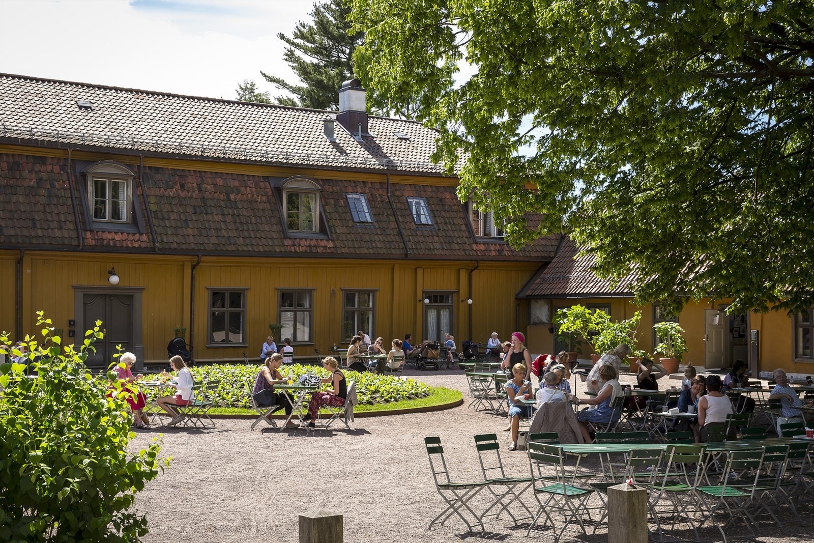 Botansik Hage - et deilig sted å slå seg ned for en kaffe Galleribilde