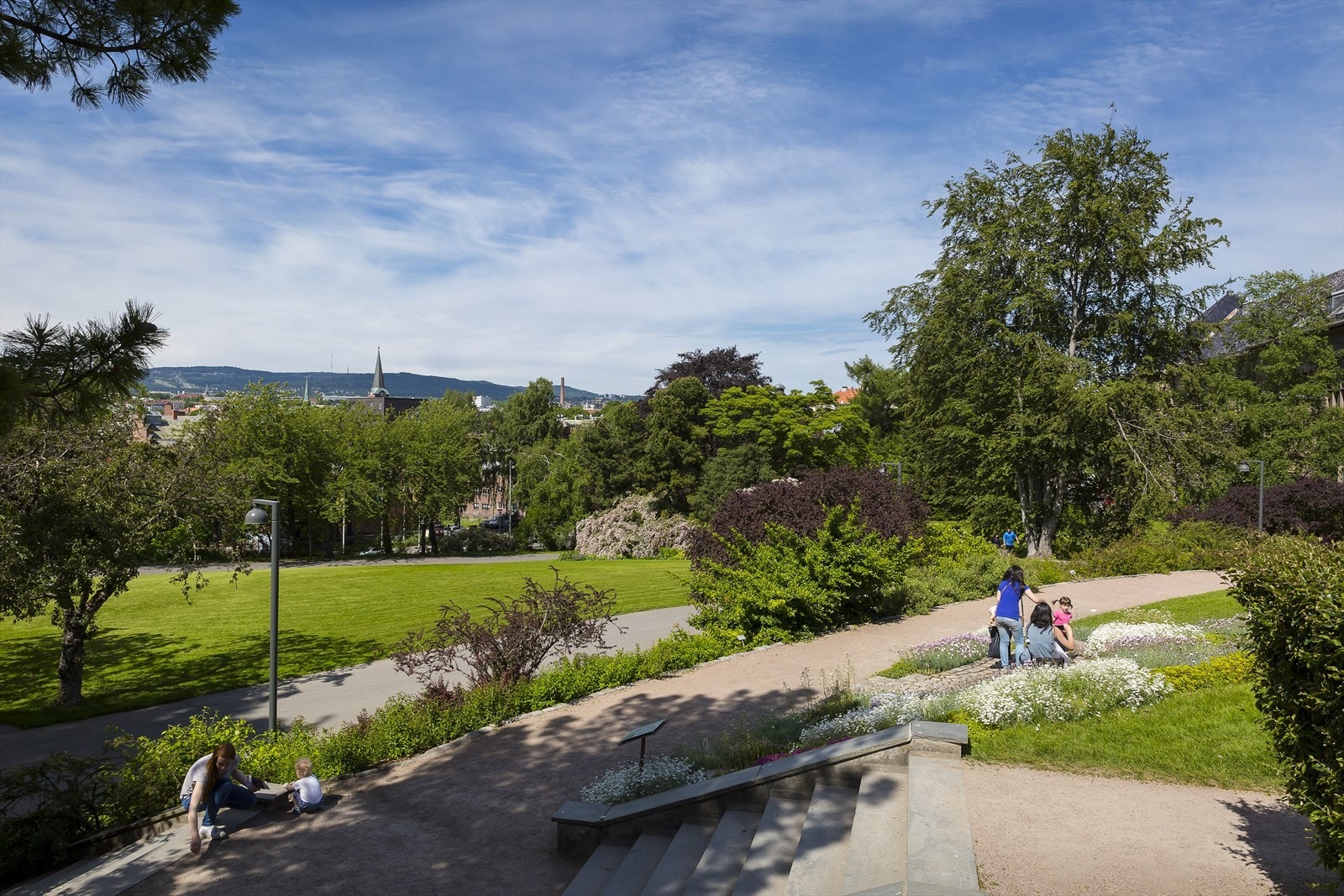 En av de nærmeste naboene er den grønne lungen Botanisk hage. Parken har et areal på ca. 150 mål og er et viktig rekraasjonsområde Galleribilde