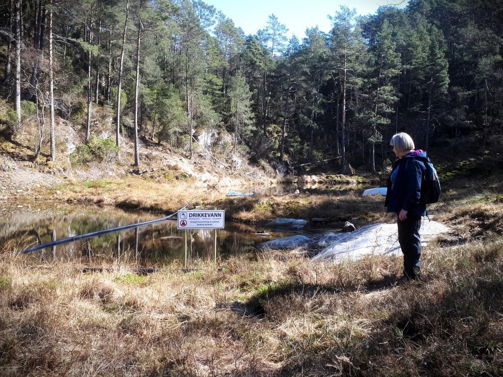 Det er rikelig med vann på eiendommen. Et lite basseng her i fremkant og et mye større i bakkant. Det er ikke drikkvann lengre selv om skiltet står. Galleribilde