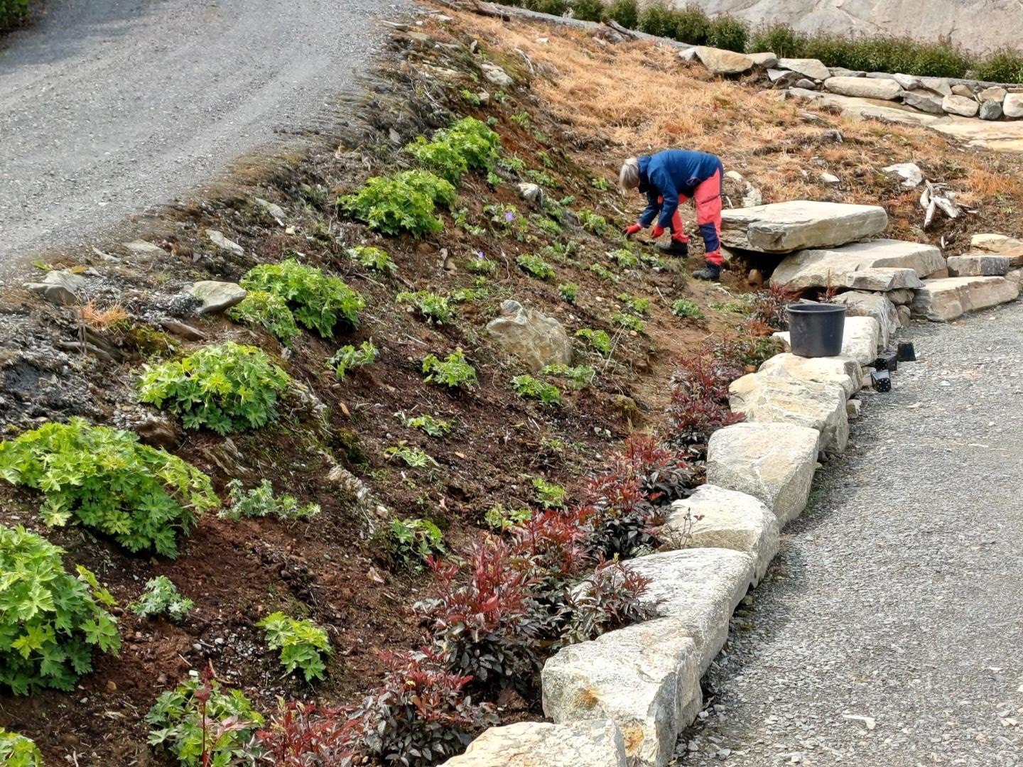 Plantet for årstidene og hele året. Galleribilde