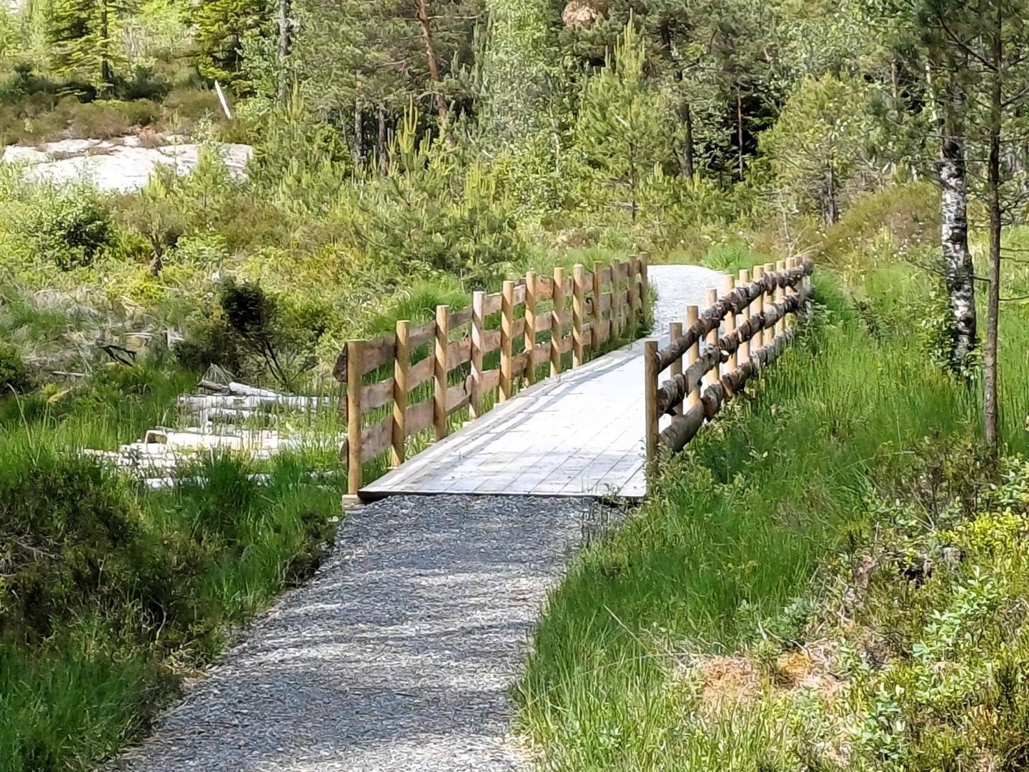 Flotte turstier rundt på eiendommen. Også for rullestolbrukere. Galleribilde