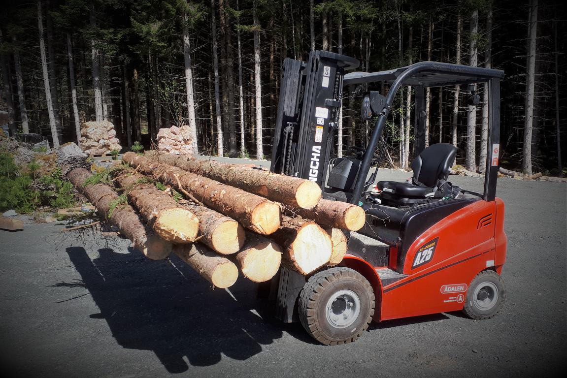 El trucken løfter 2,5 tonn og har gafler som er 170cm lange. Galleribilde