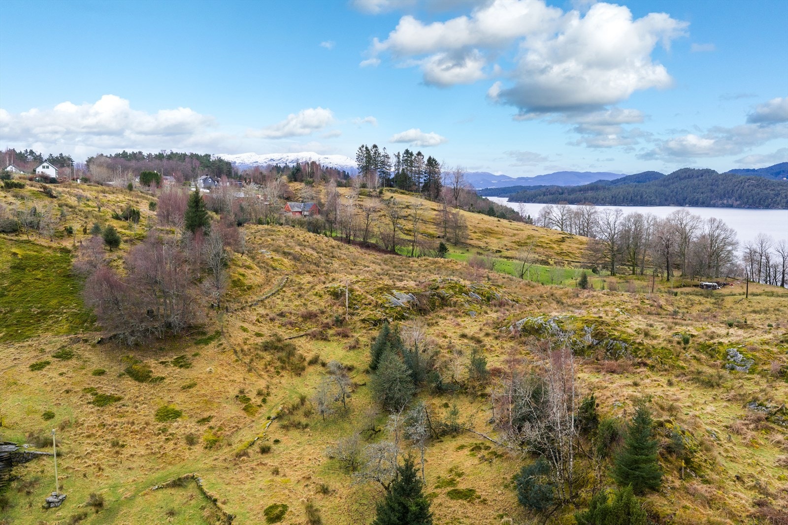 Teig 2 ned mot sjøen. Galleribilde