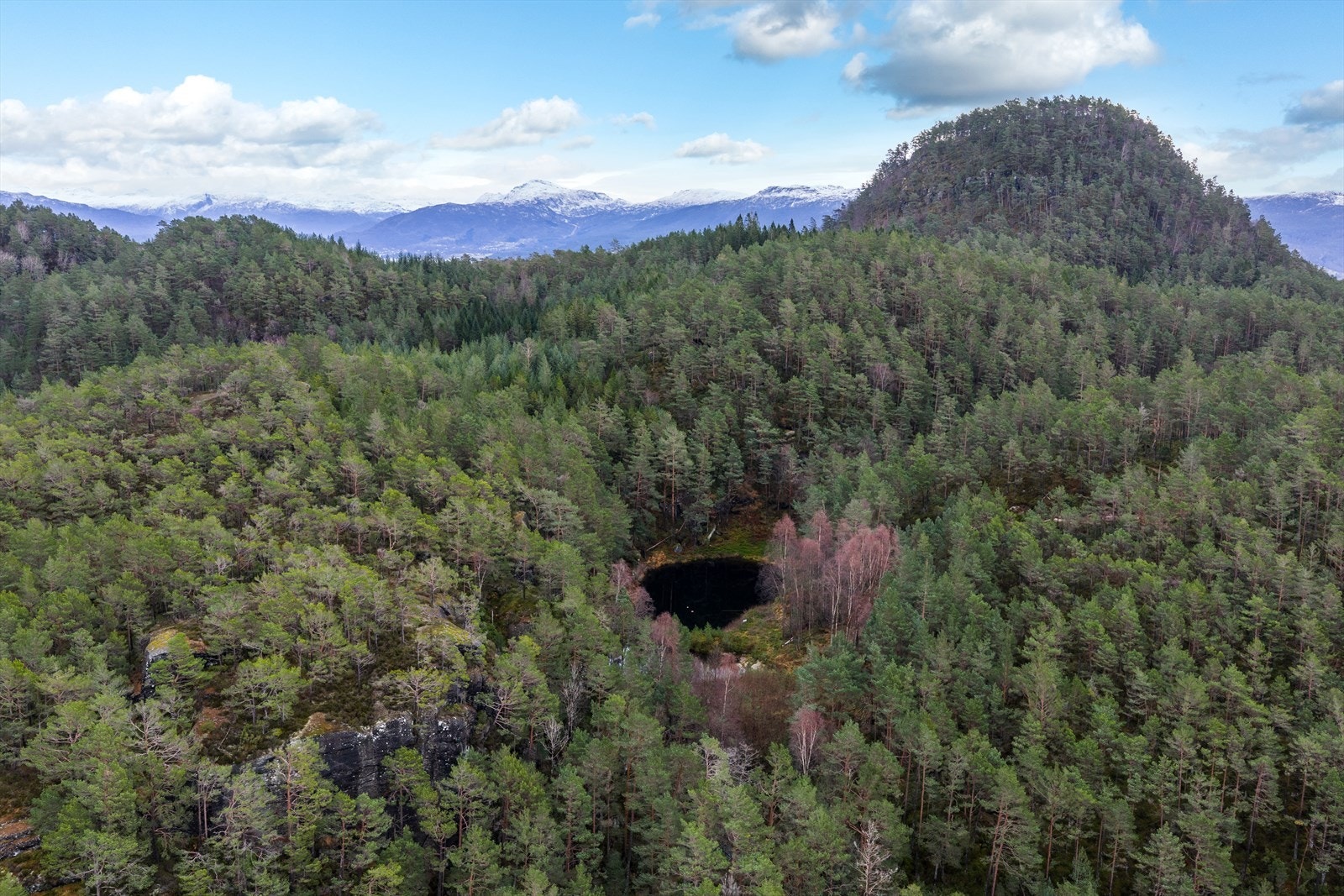 Ferskvann Galleribilde