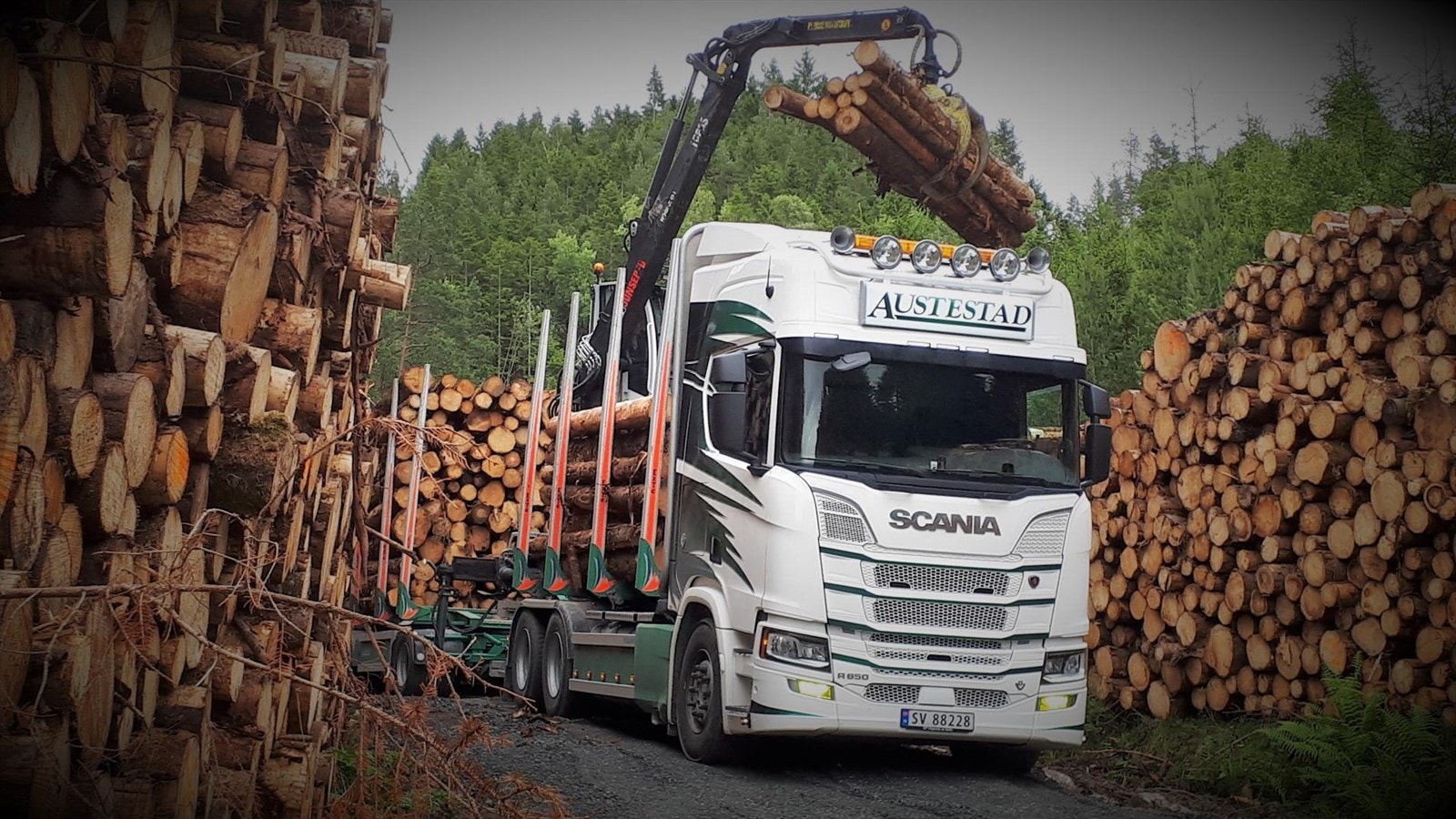 Lessing på tømmerbilen er praktisk og enkelt når velta ligger på begge sider av skogsbilveien. Galleribilde